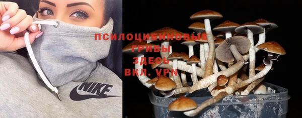 альфа пвп Фёдоровский